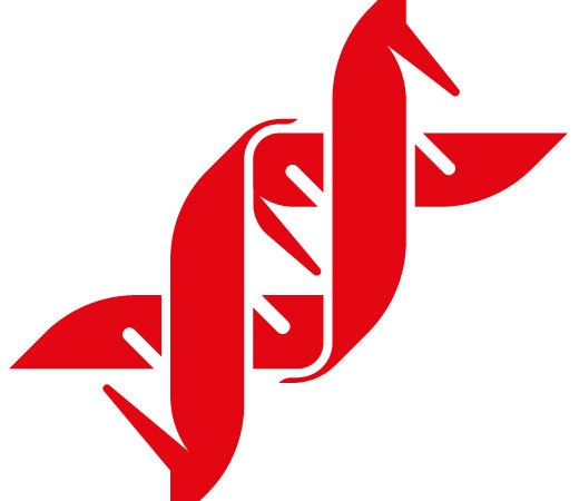 image d'introduction